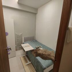 The Centris (D22), Apartment #493672111